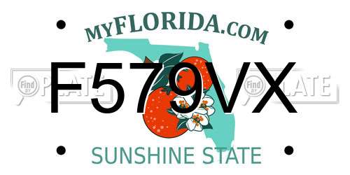F579VX Florida License Plate