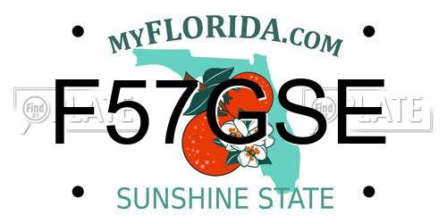 F57GSE Florida License Plate