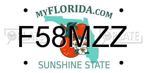 F58MZZ Florida License Plate