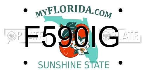 F590IG Florida License Plate