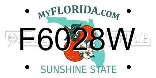 F6028W Florida License Plate