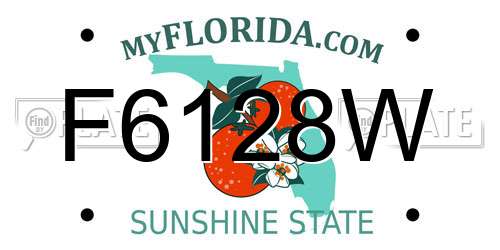 F6128W Florida License Plate
