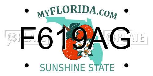 F619AG Florida License Plate