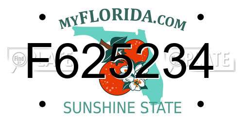 F625234 Florida License Plate