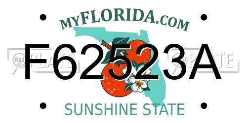 F62523A Florida License Plate