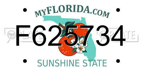 F625734 Florida License Plate
