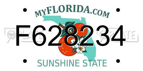 F628234 Florida License Plate