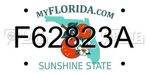 F62823A Florida License Plate