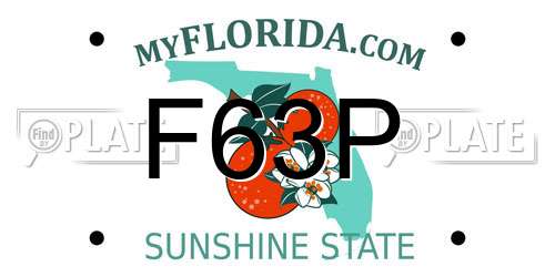 F63P Florida License Plate
