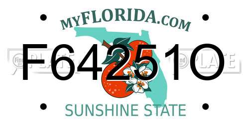 F64251O Florida License Plate