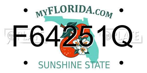 F64251Q Florida License Plate