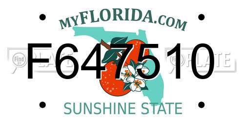 F647510 Florida License Plate