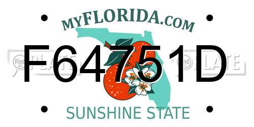 F64751D Florida License Plate