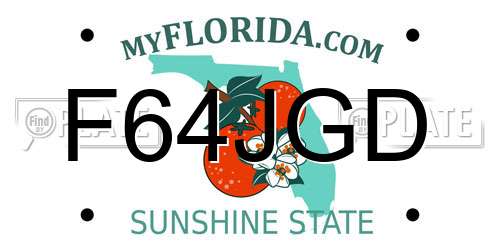 F64JGD Florida License Plate