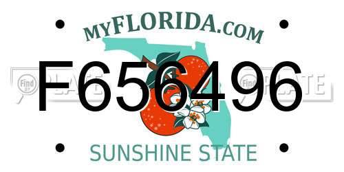 F656496 Florida License Plate