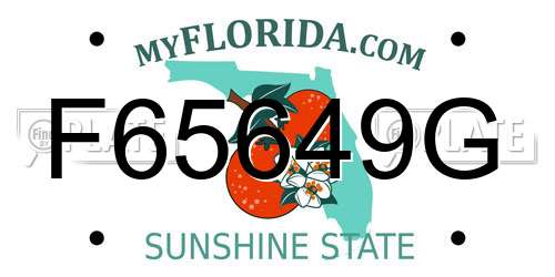 F65649G Florida License Plate