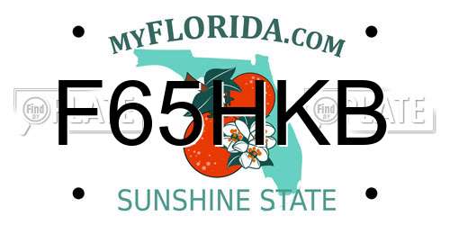 F65HKB Florida License Plate