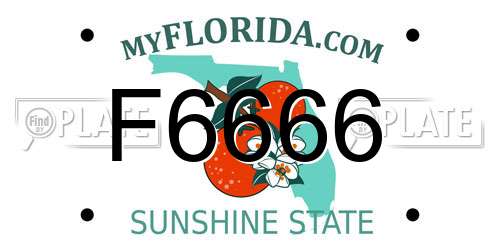 F6666 Florida License Plate
