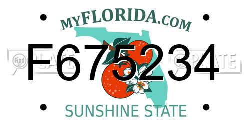 F675234 Florida License Plate