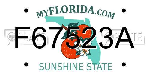 F67523A Florida License Plate