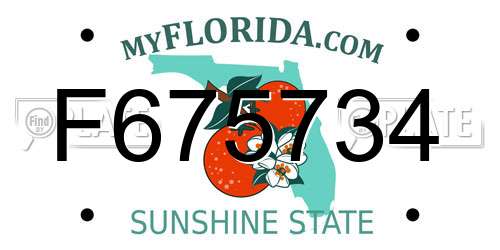 F675734 Florida License Plate