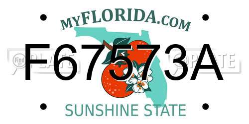 F67573A Florida License Plate