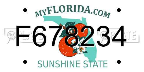F678234 Florida License Plate