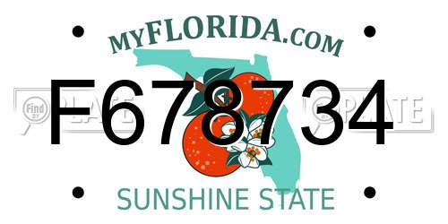 F678734 Florida License Plate
