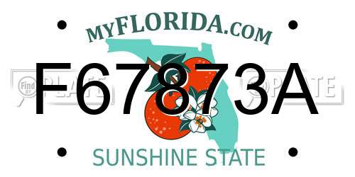 F67873A Florida License Plate