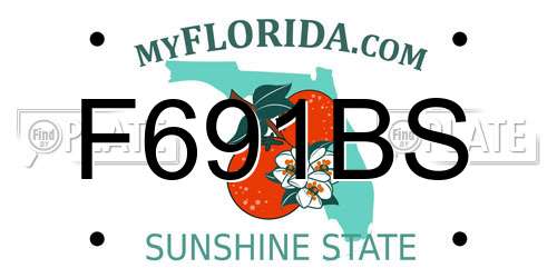 F691BS Florida License Plate
