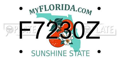 F7230Z Florida License Plate