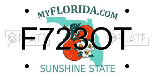 F723OT Florida License Plate