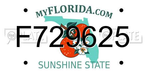 F729625 Florida License Plate