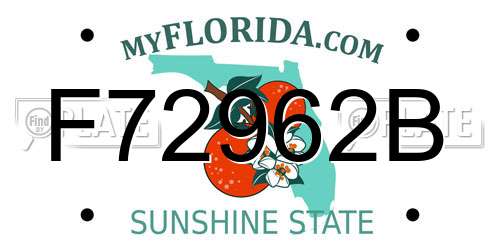 F72962B Florida License Plate