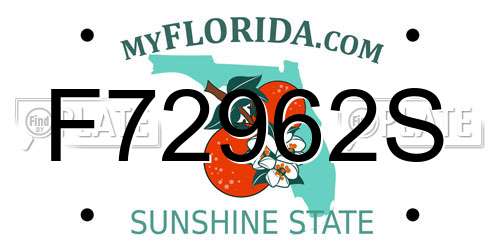 F72962S Florida License Plate