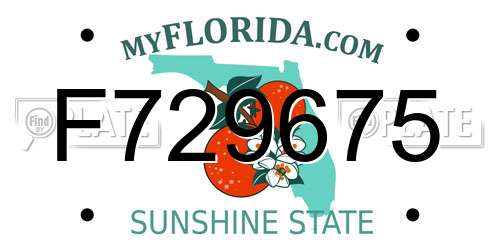 F729675 Florida License Plate