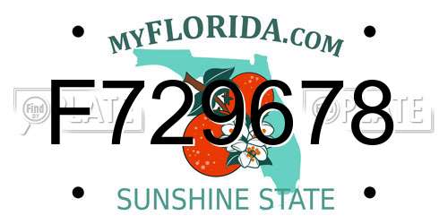F729678 Florida License Plate