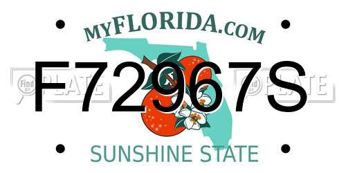 F72967S Florida License Plate