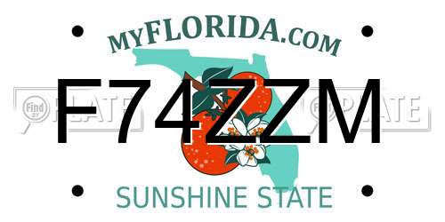 F74ZZM Florida License Plate