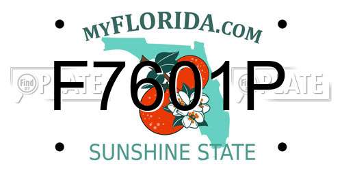 F7601P Florida License Plate