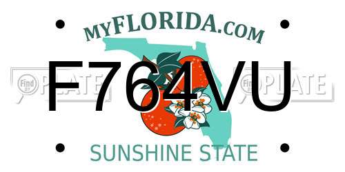 F764VU Florida License Plate