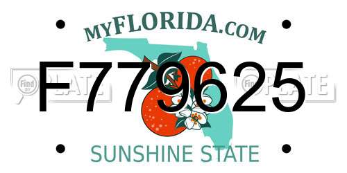 F779625 Florida License Plate