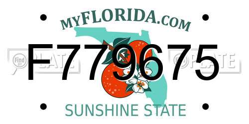 F779675 Florida License Plate