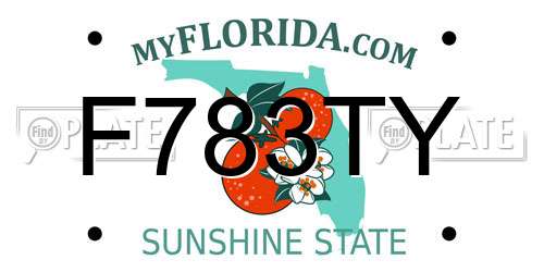 F783TY Florida License Plate