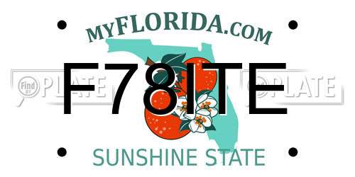 F78ITE Florida License Plate