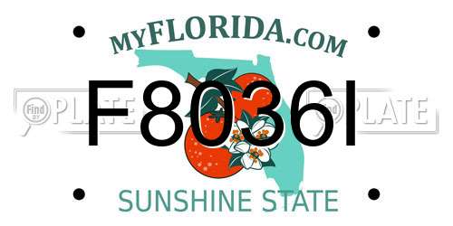 F8036I Florida License Plate