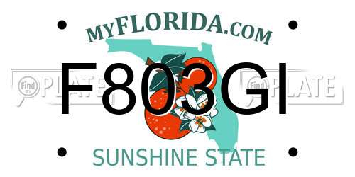 F803GI Florida License Plate