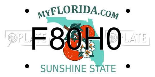 F80H0 Florida License Plate