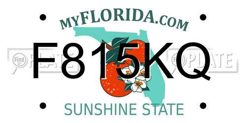 F815KQ Florida License Plate
