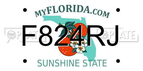 F824RJ Florida License Plate